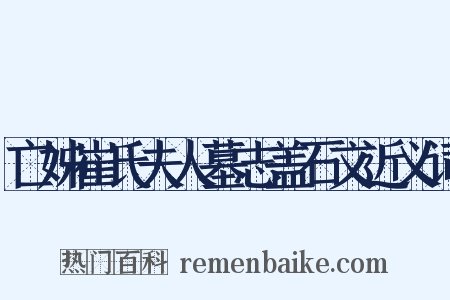 亡姊崔氏夫人墓志盖石文近义词是什么意思的图片